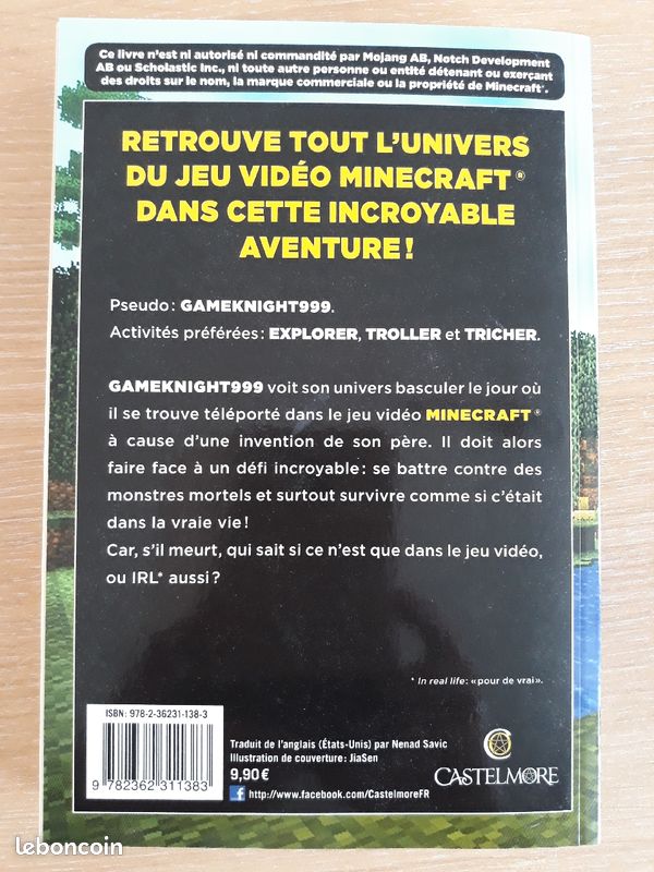 L'invasion de l'overworld (image 3)