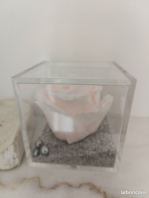 Rose éternelle en coffret (image 2)