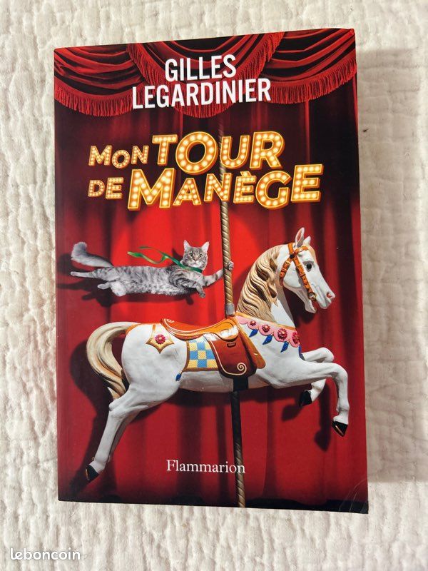 Livre de gille legardinier , mon tour de manège (image 2)