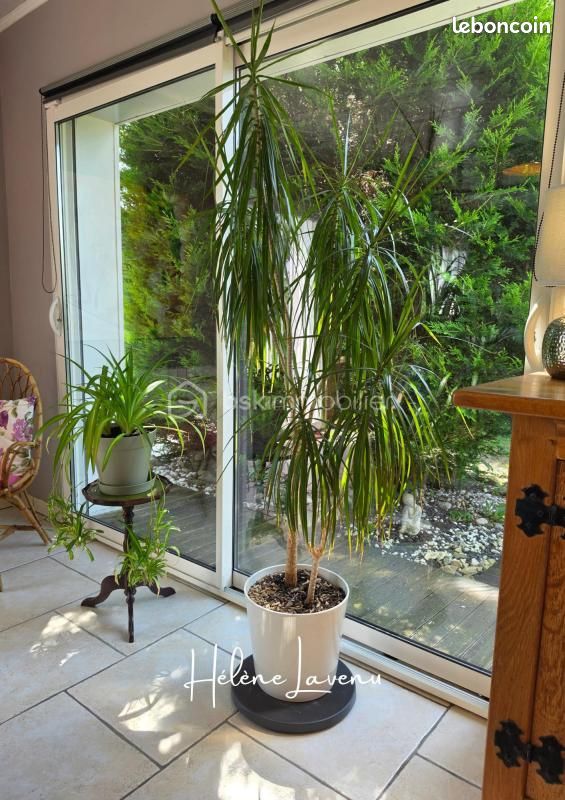Maison 5 pièces 150 m² · à Desvres · 150 m² · 299 900 €