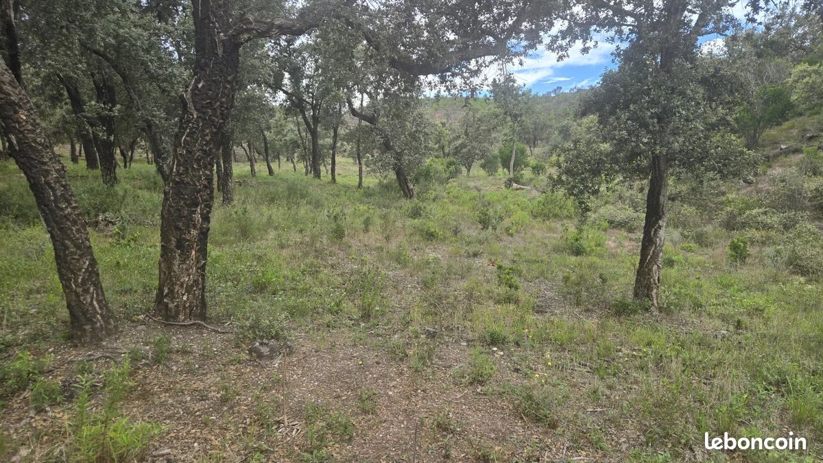 Terrain 47000 m² · à Bormes-les-Mimosas · 47 000 m² · 215 000 €