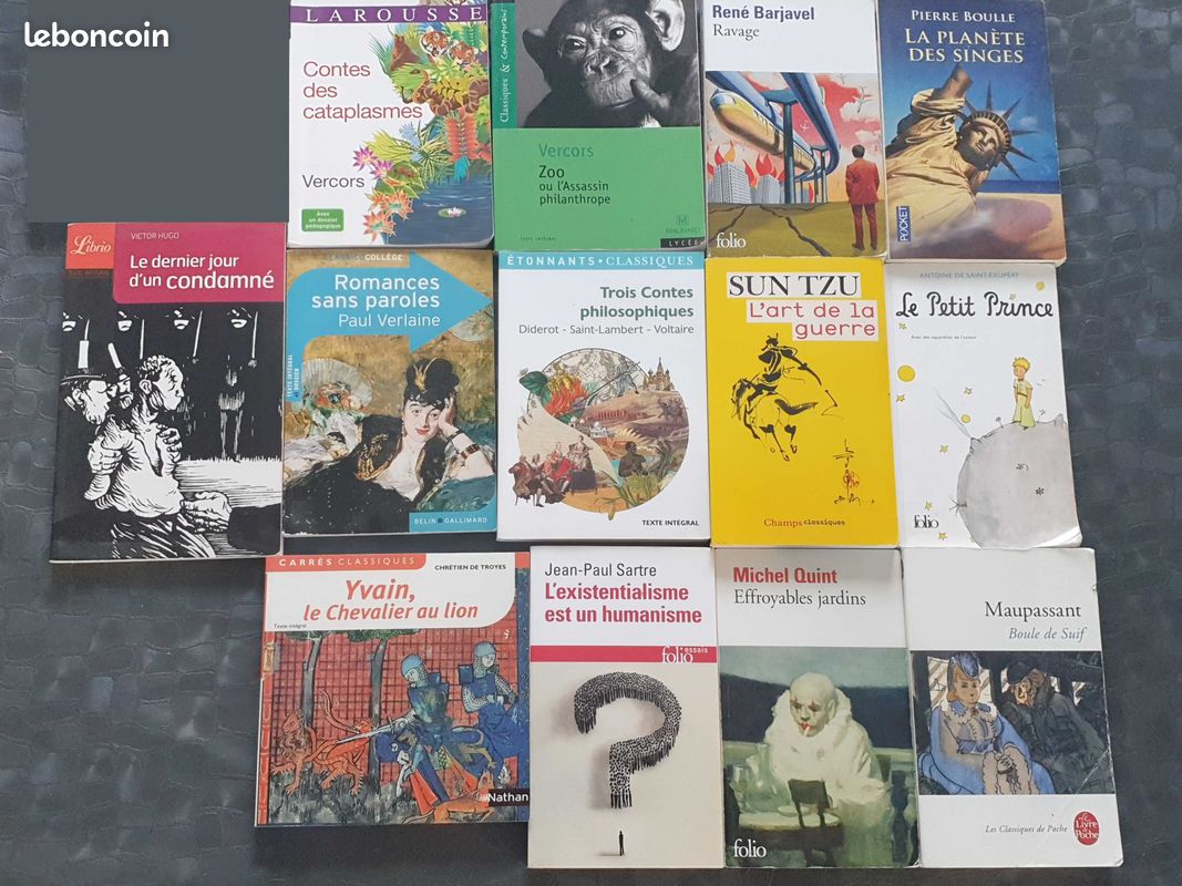 Lot 13 livres divers (image 1)
