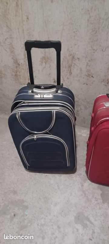 Valise delsey elegance (image 9)