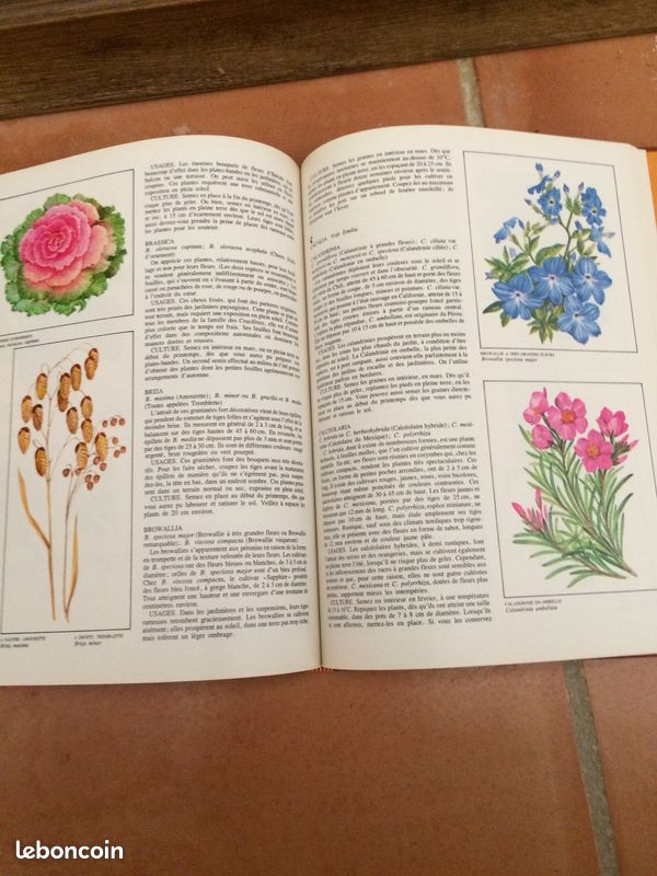 Encyclopédie du jardinage (image 3)