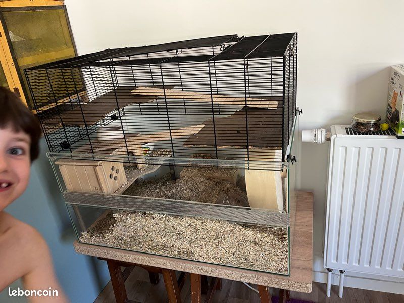 Cage rongeur (gerbille, souris, hamster, rat) (image 3)
