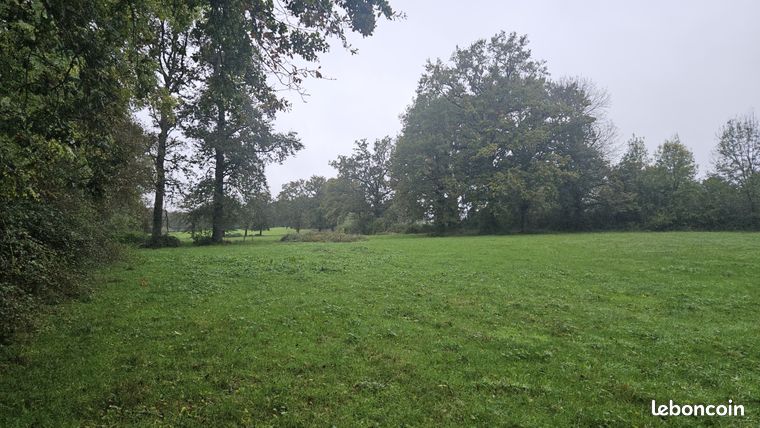 Terrain 75159 m² Saint-Bonnet-de-Bellac