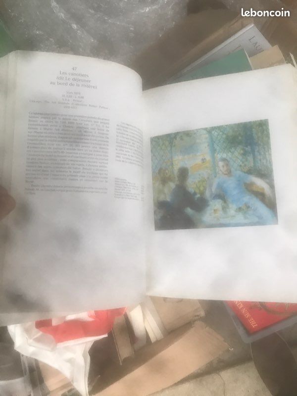 Livre art Renoir (image 4)