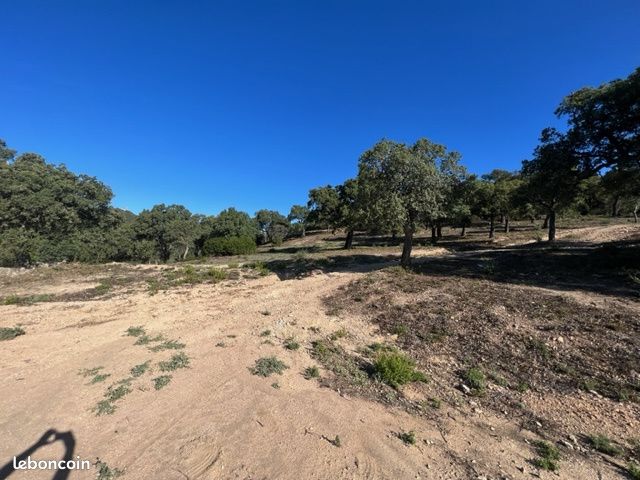 Terrain 380000 m² Sainte-Maxime (image 7)