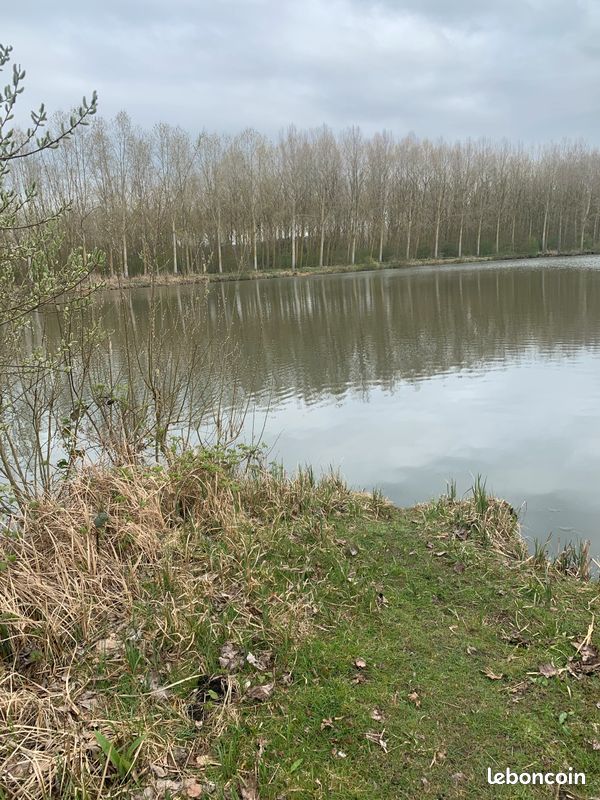 Peche Etang individuel ou action de pêche (image 1)
