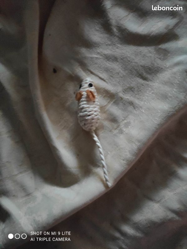 Divers jeux pour chat éléphant pelote de ficelle bleu avec boules jeux à pile (image 7)
