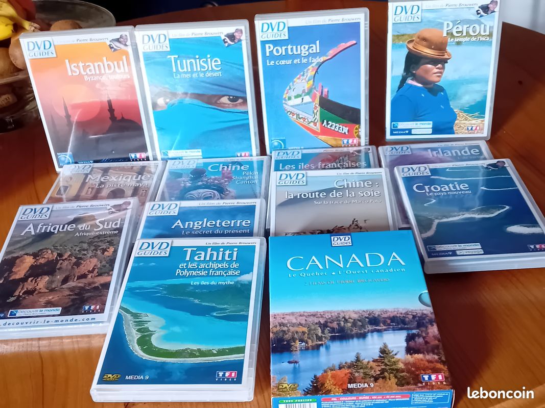 DVD Voyage par Pierre Brouwer (image 1)