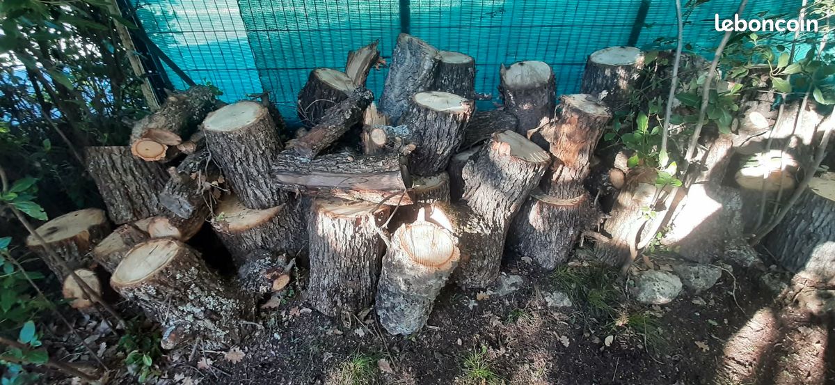 Vend stère de bois de chêne (image 1)