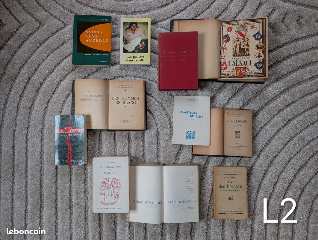Beau lot de livres anciens, romans et essais – belles éditions (image 1)