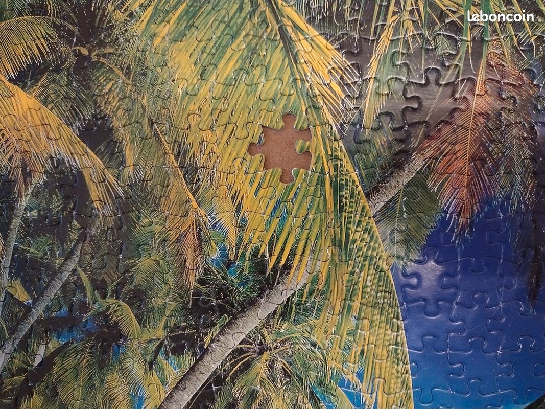Puzzle 1000 pièces incomplet (image 3)