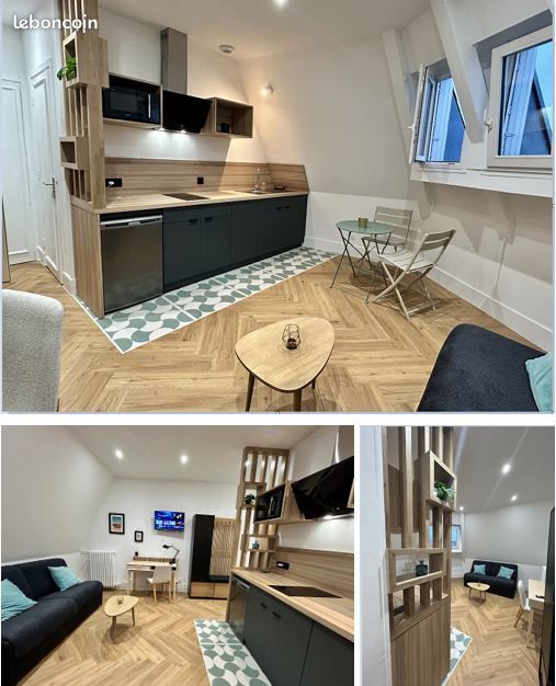 Appartement 1 pièce 19 m² · à Saint-Étienne · 18,5 m² · 490 €
