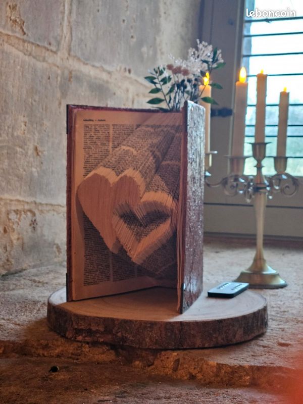 Livre pour décoration ou pour livre plié (image 3)