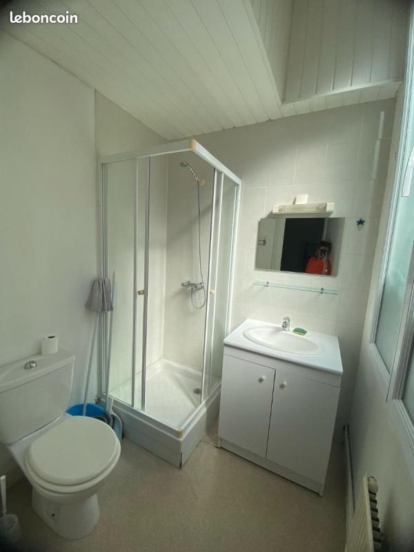 Appartement 1 pièce 24 m² - Bordeaux 33800 (image principale 3)