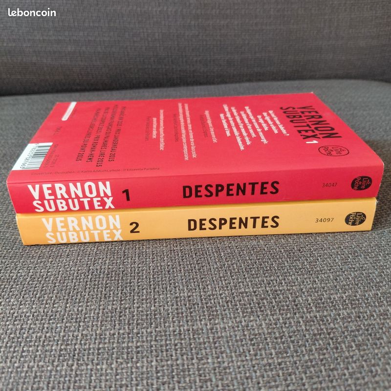 Vernon subutex 1 & 2 (image 4)
