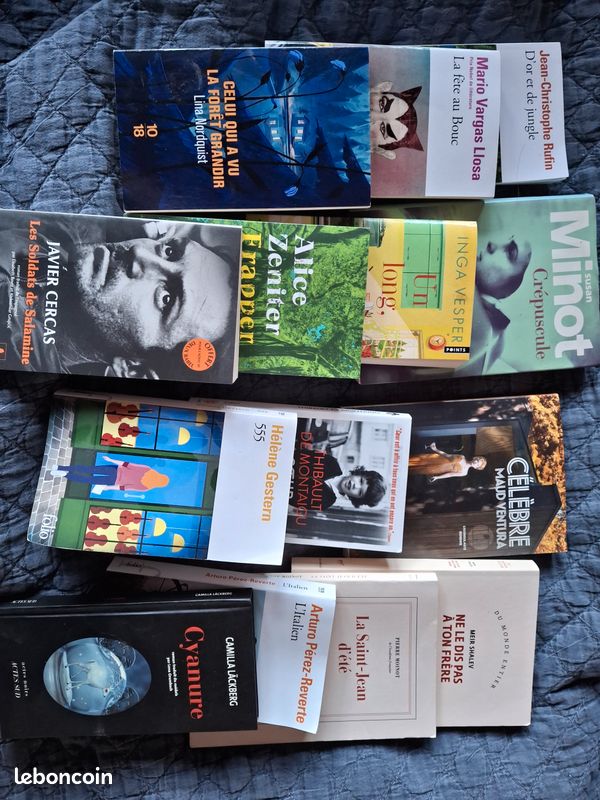 Lot de livres romans divers auteurs (image 1)