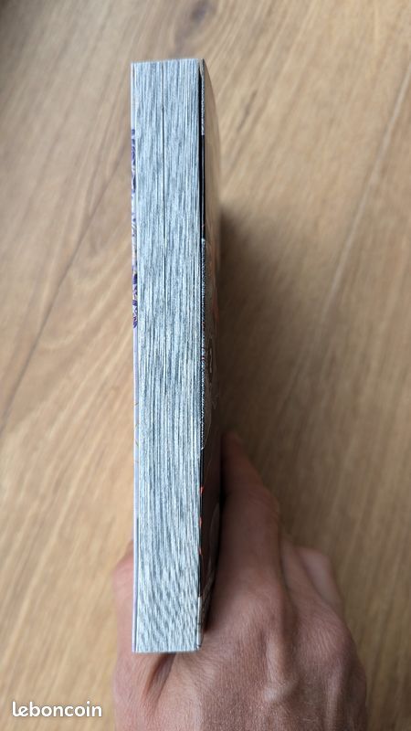 Demon slayer - tome 2 (image 5)