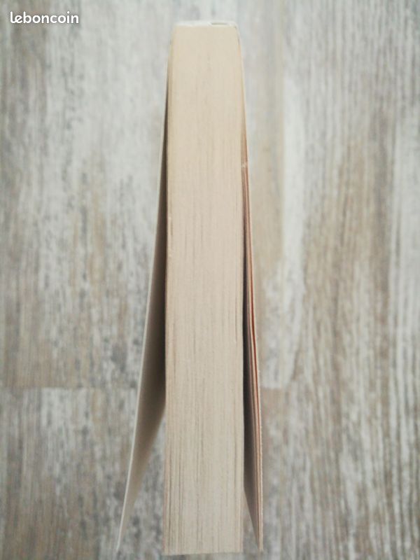 Livre roman Quelqu'un de bien de Françoise Bourdin (image 8)