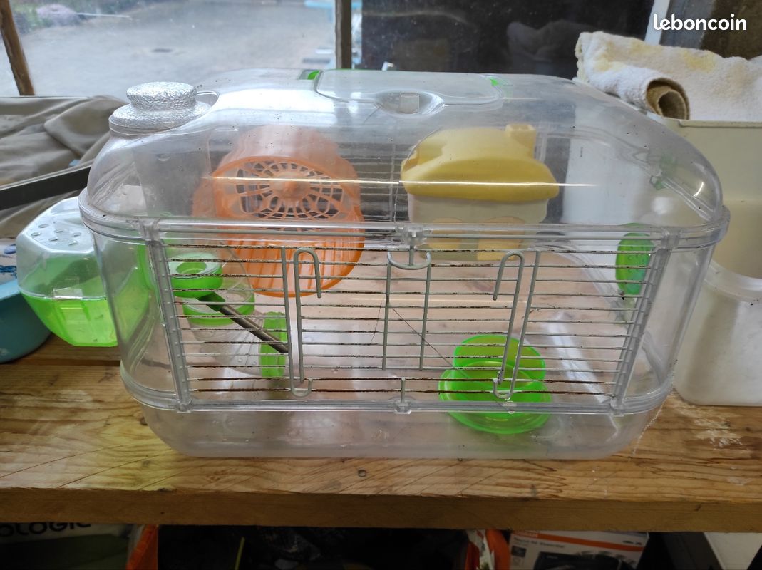 Maison pour hamsters đč (image 1)