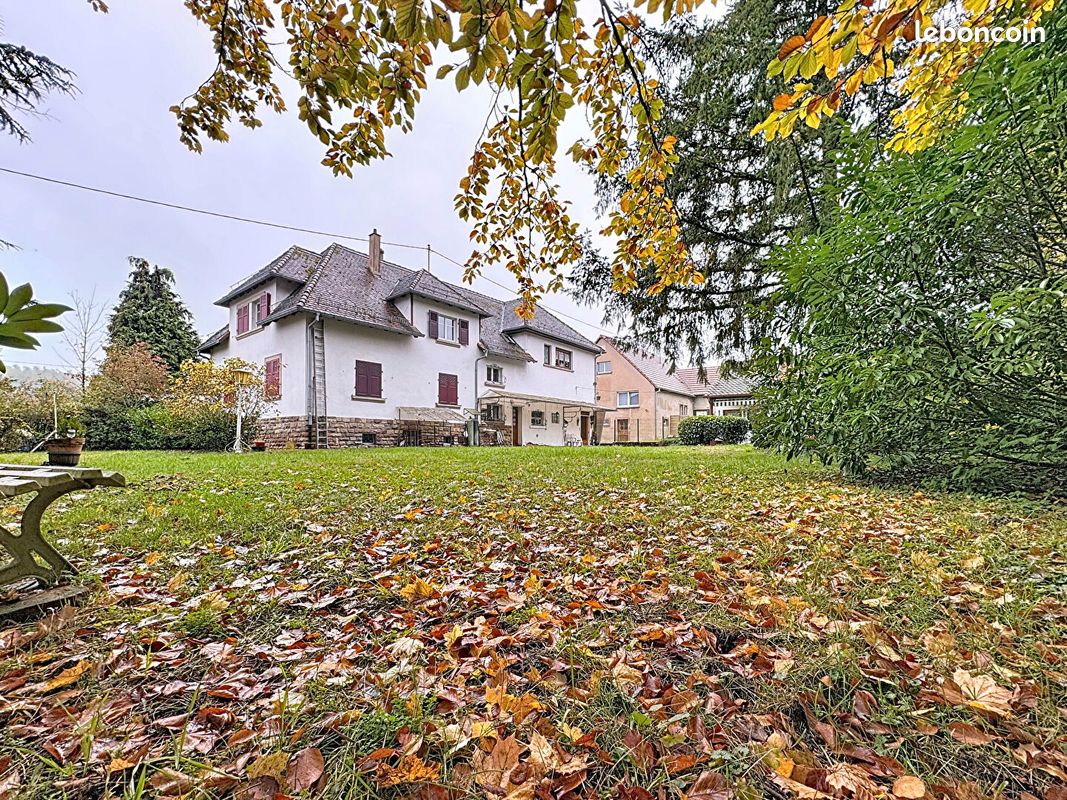 Maison 7 pièces 202 m² · à Wingen-sur-Moder · 202 m² · 177 500 €