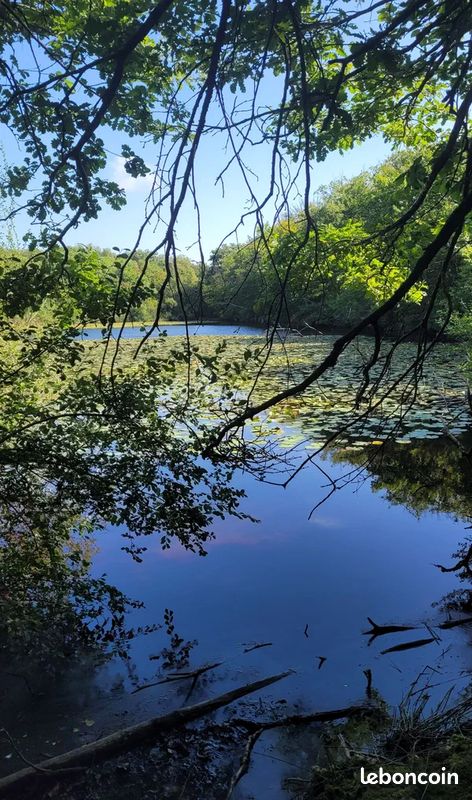 Recherche petit étang graviere lac agricole lac d'irrigation · à Buzet-sur-Tarn · 27 000 €