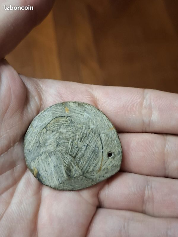 Lot de 2 ammonites fossiles Goniatite polies et sciées en pendentif (image 8)