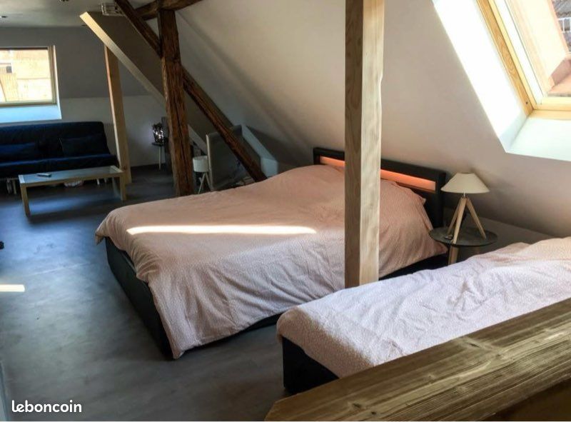 Appartement 1 pièce 50 m² · à Ribeauvillé · 50 m² · 600 €