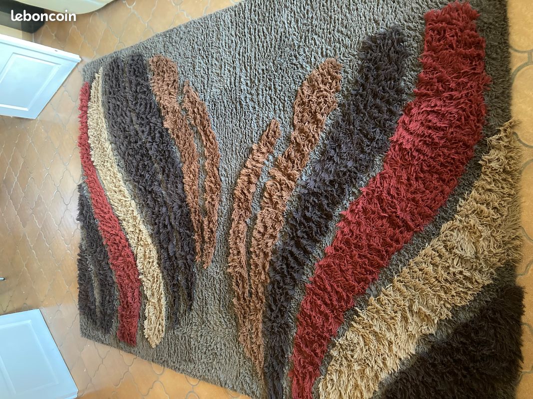 Tapis salon (image 1)
