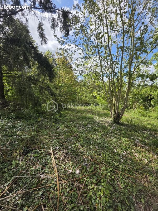 Terrain 998 m² Catenoy · 156 000 €
