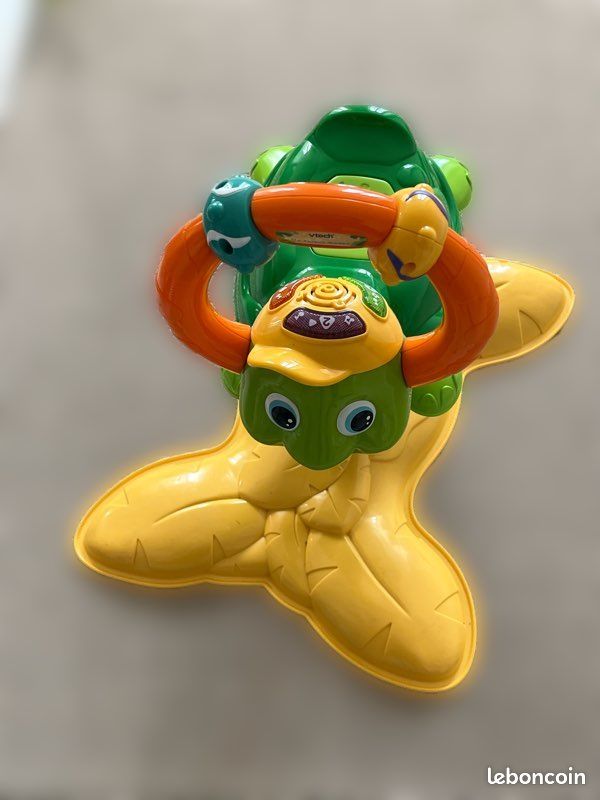 Tortue sauteuse (image 1)