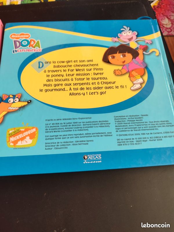 Lot livre Dora (image 7)