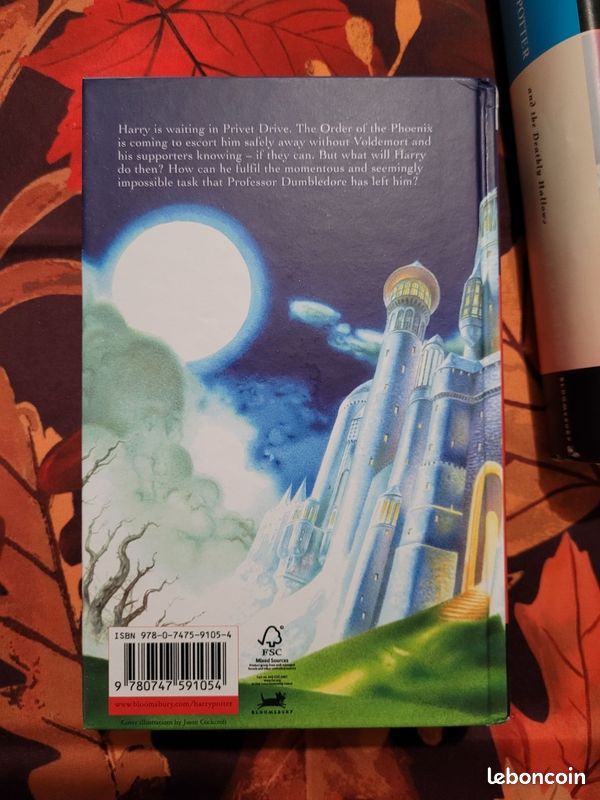 Harry Potter and the Deathly Hallows (image 3)