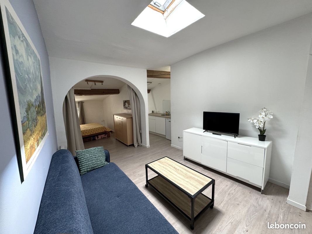 Splendide appartement climatisé à Carcassonne (image 5)