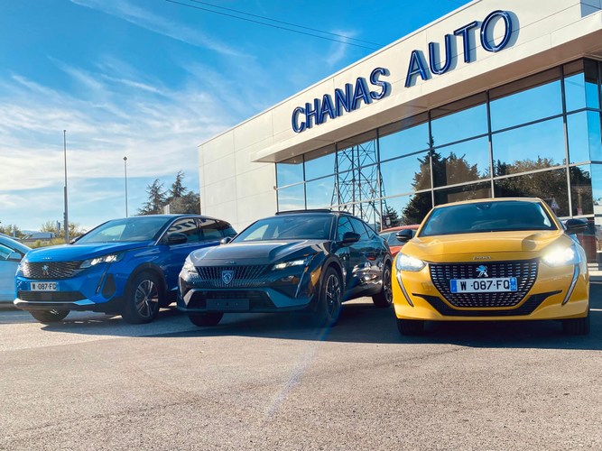 CHANAS AUTO - Chanas (38150) - Pro leboncoin