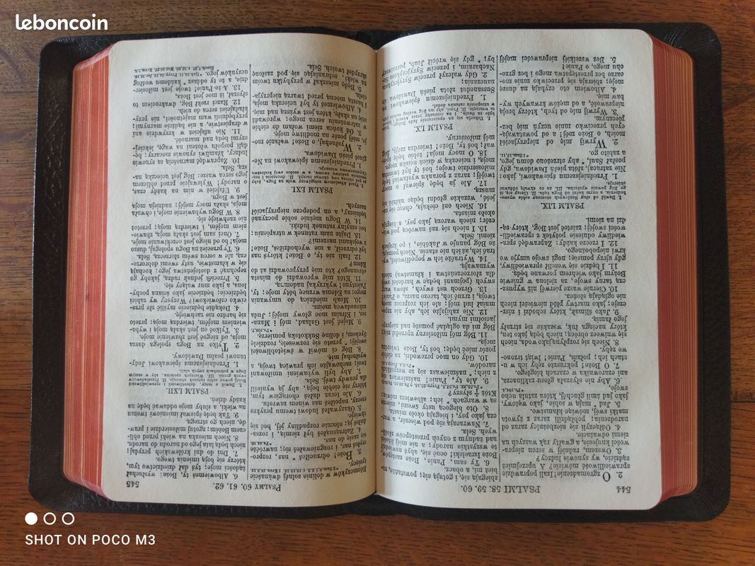 Biblia Święta (Edition polonaise) (image 10)