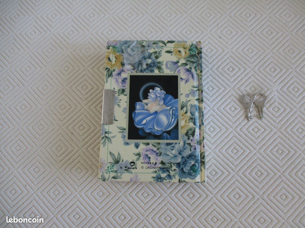 Carnet secret vintage fille avec clés (image 3)