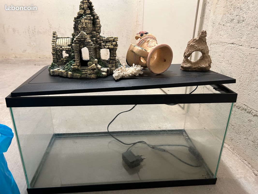 Aquarium (image 1)