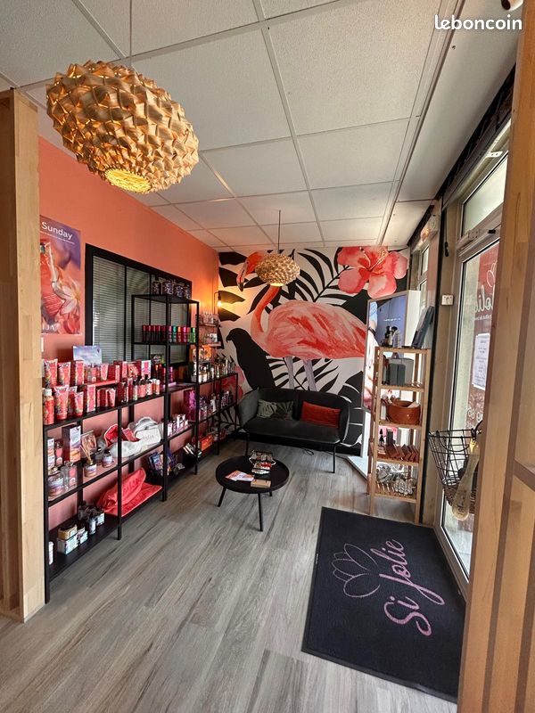 Vend institut de beauté (image 1)