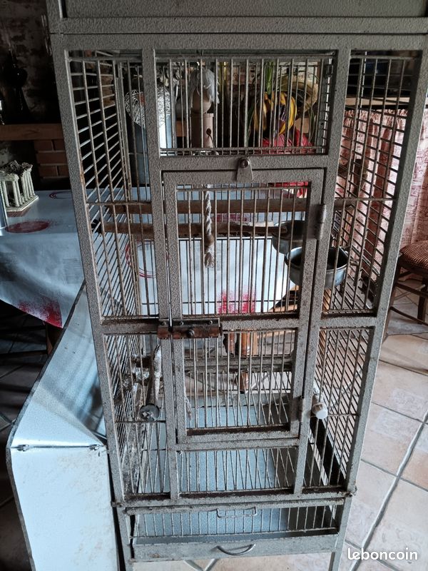 Cage a oiseaux (image 2)