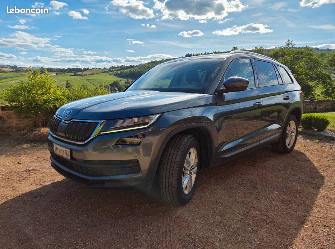 Skoda Kodiaq 2.0 TDI 150 SCR BUSINESS DSG7 (image 1)