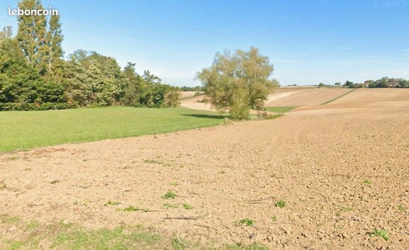 Terrain 991 m² Fourquevaux · 135 000 €