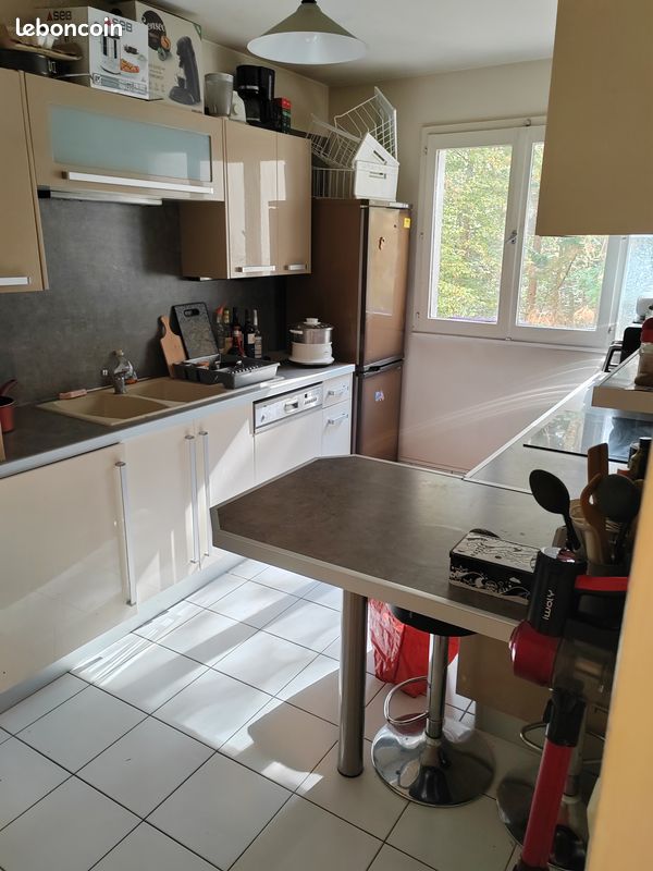 Colocation Chambre 12m2 très bien située (image 4)