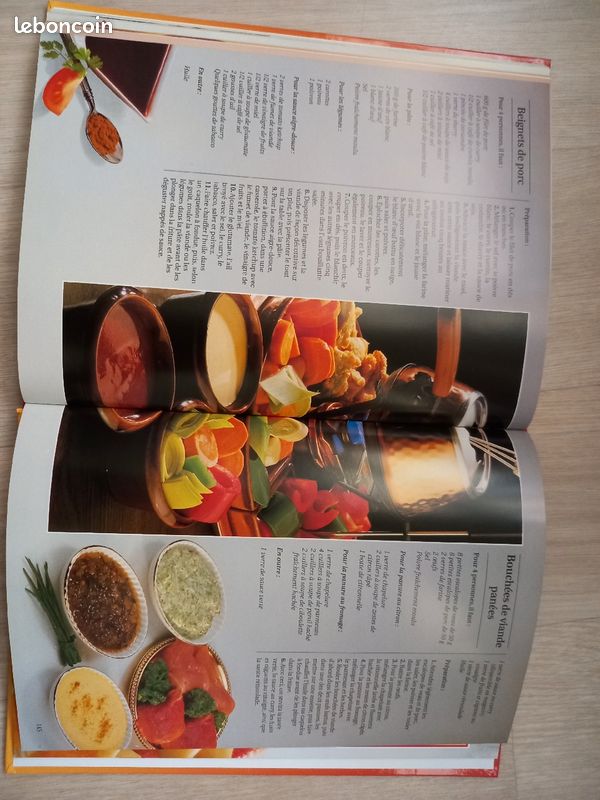 Livre de recettes fondues et raclettes (image 6)