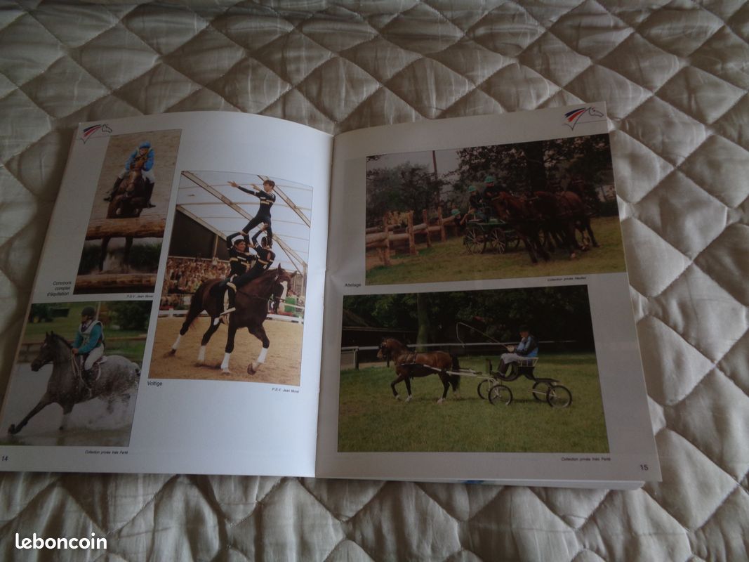 Livre d'équitation (image 4)