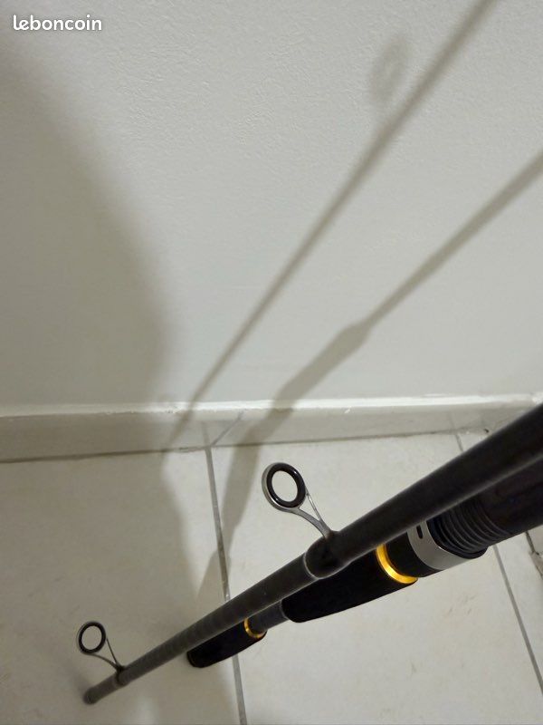 Canne à pêche Daiwa Legalis 2,40 m (image 7)