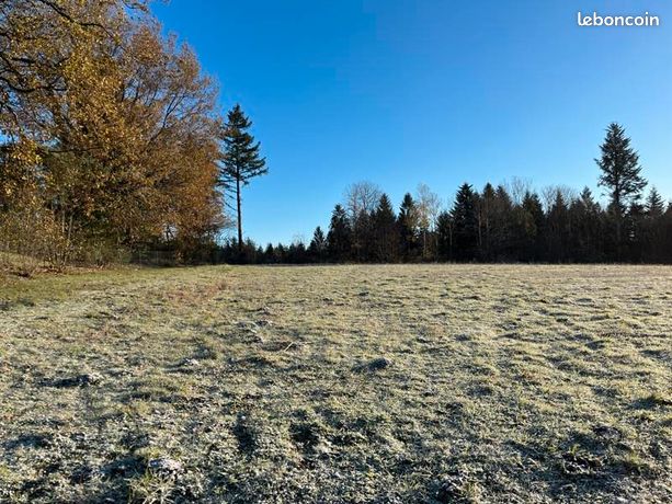 Terrain 1 742 m² Palazinges