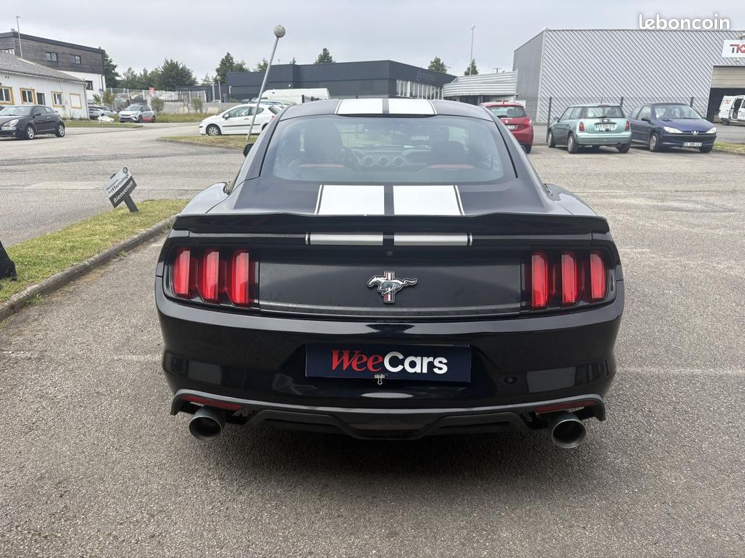 FORD MUSTANG 3.7 305 ch V6 - kit extérieur GT350 (image 5)